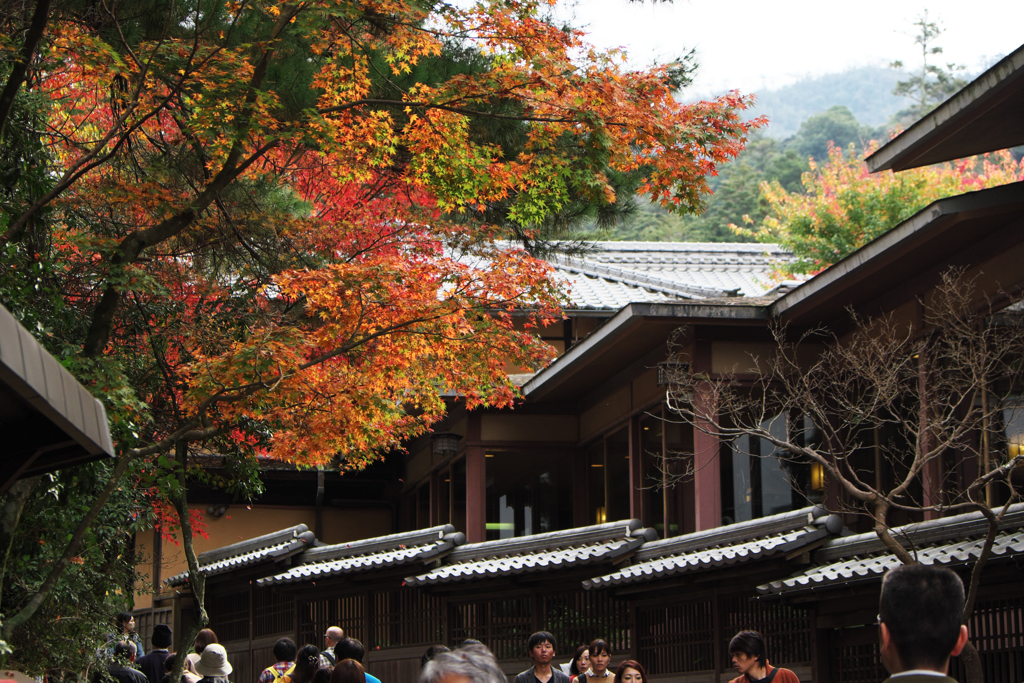 宮島・岩惣あたり