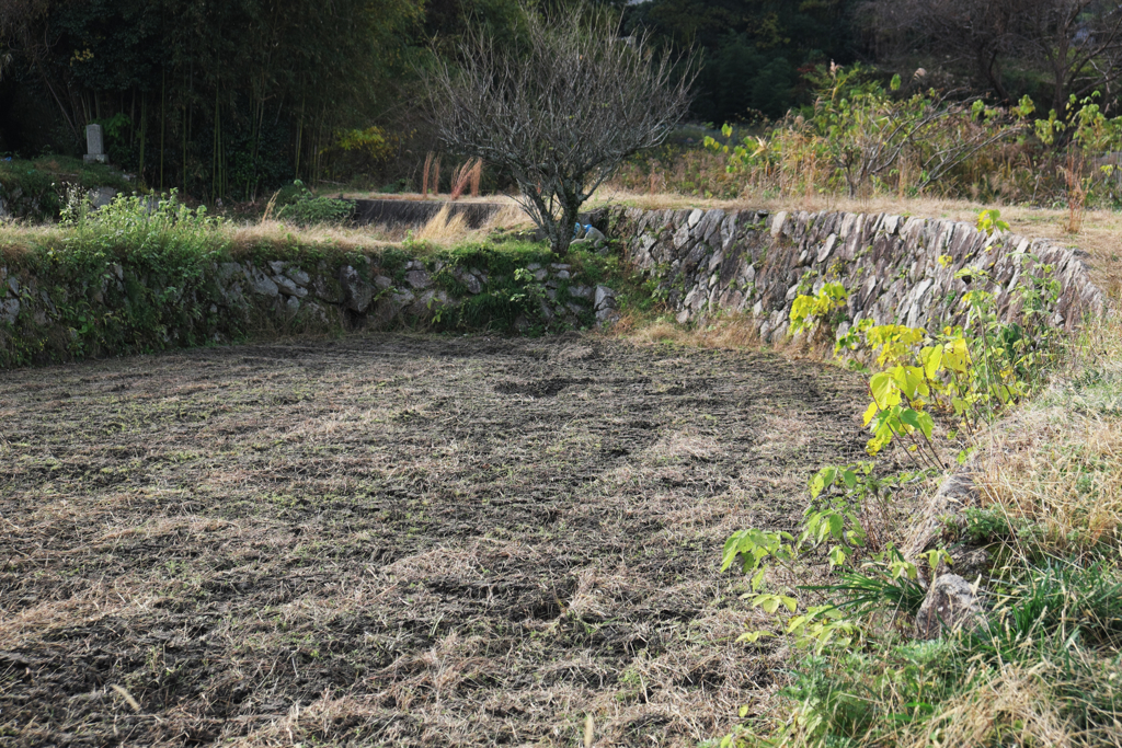 廿日市市の田舎