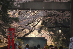 なぜか懐かしい風景なので