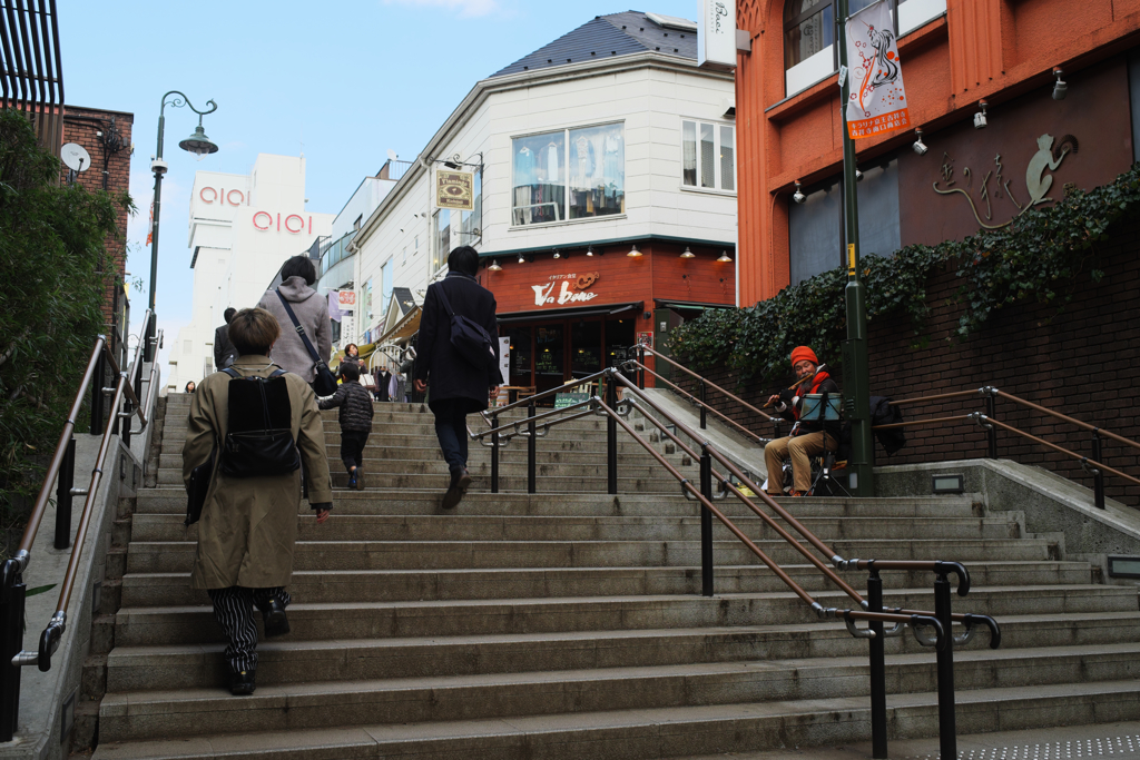 井の頭公園には