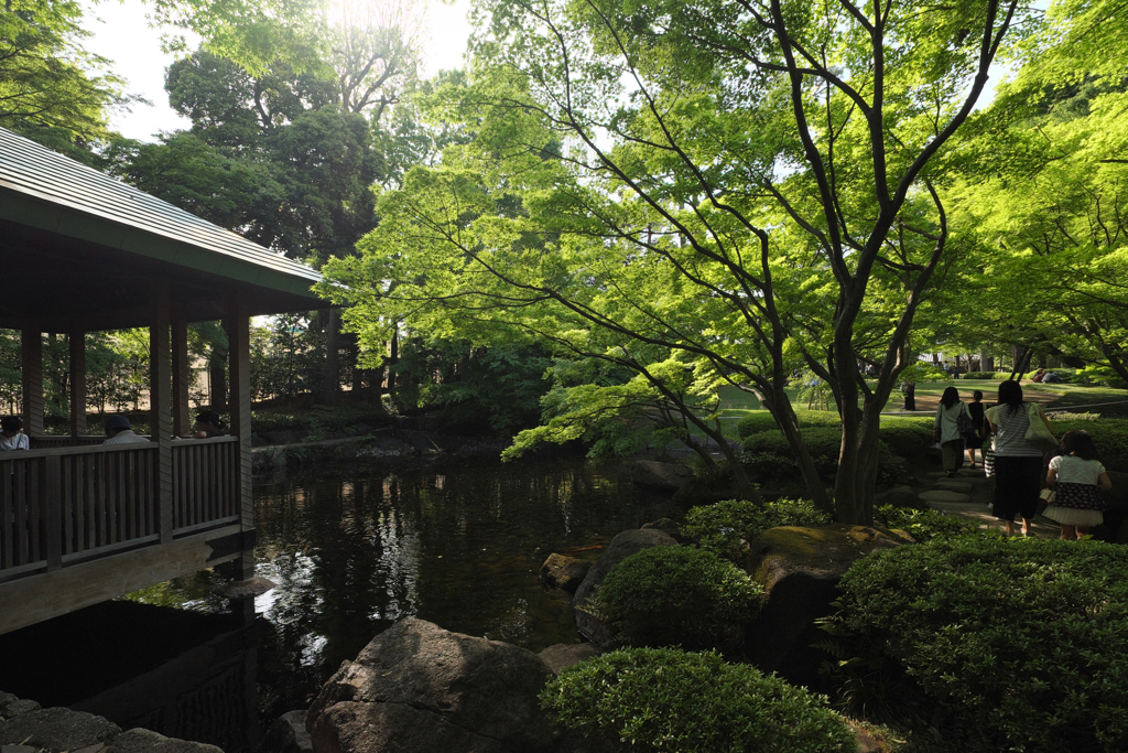 大田黒公園にて