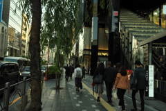 銀座の柳の下で