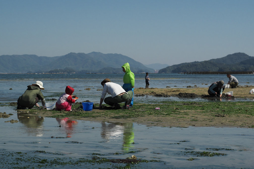 家族で貝掘り！