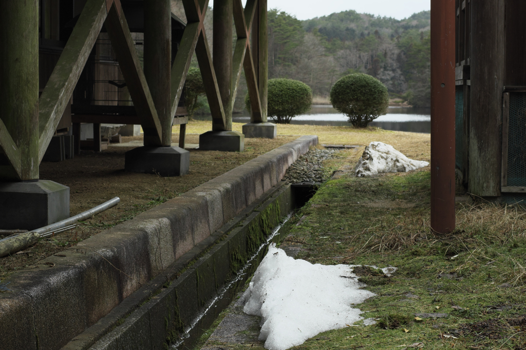 春を待つ自然公園３