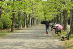 ちっと洋風な景色に魅せられて