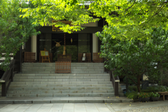 お寺さんで一休み