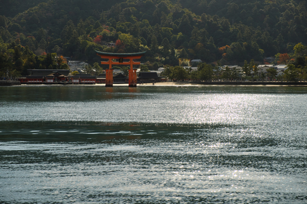 朝の厳島神社