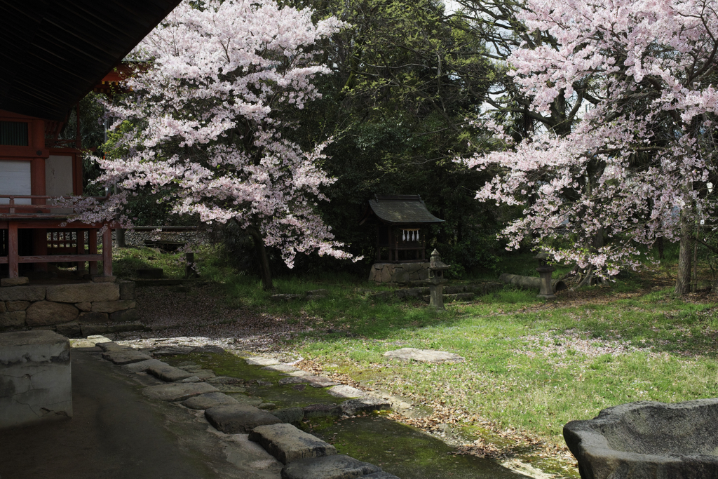 地御前神社の境内にて