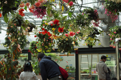 植物園写生日記　６