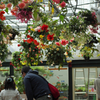 植物園写生日記　６