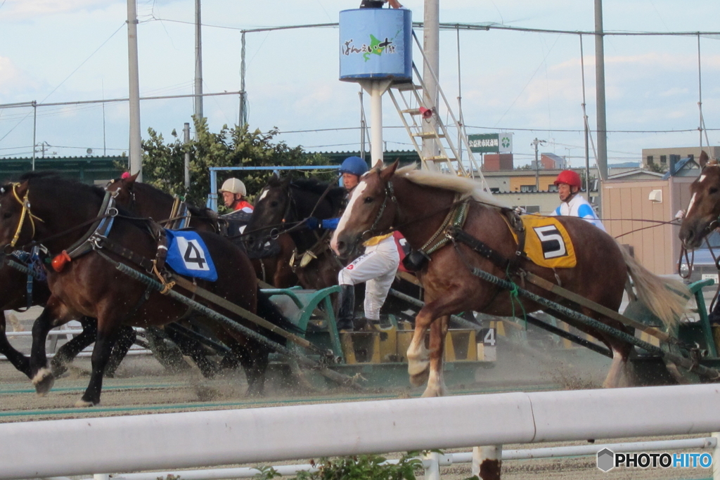 ばんえい競馬