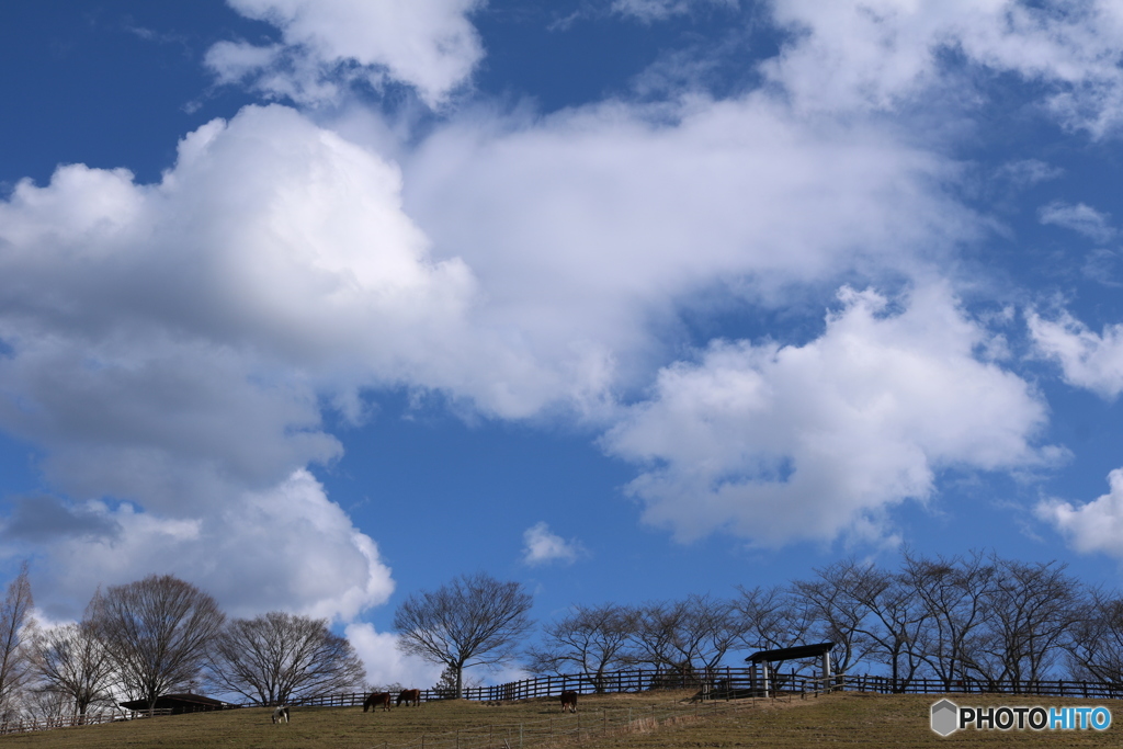 冬の牧場の空