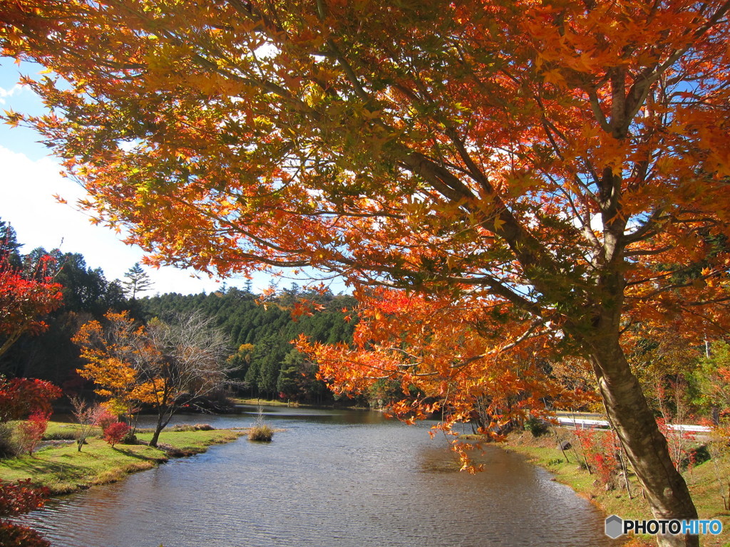湖と紅葉