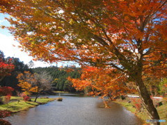 湖と紅葉