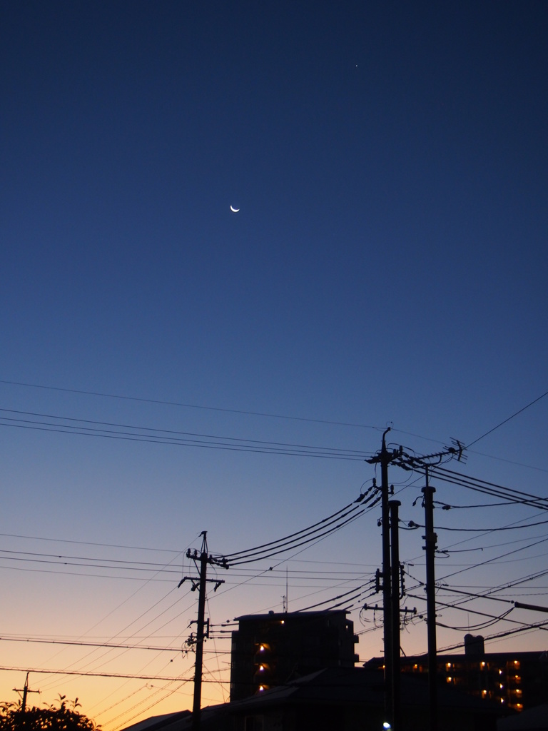 朝焼けの三日月