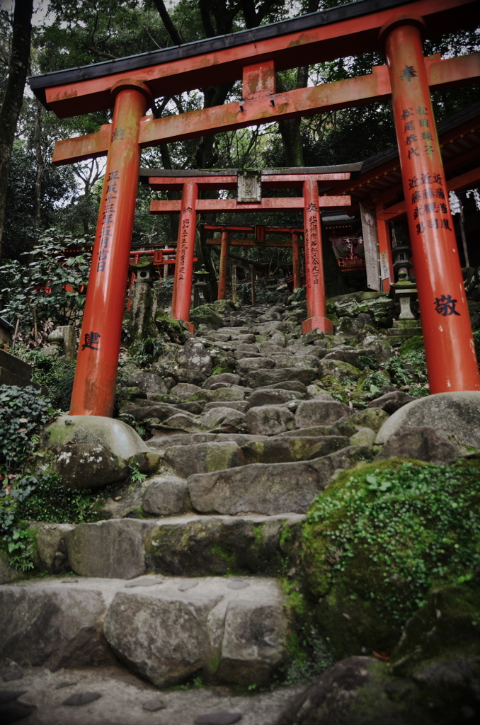 神秘へと