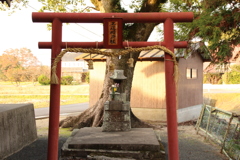 神社の中に神社