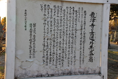 IMG_1176[1]