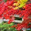 筑波神社