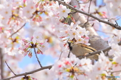 間