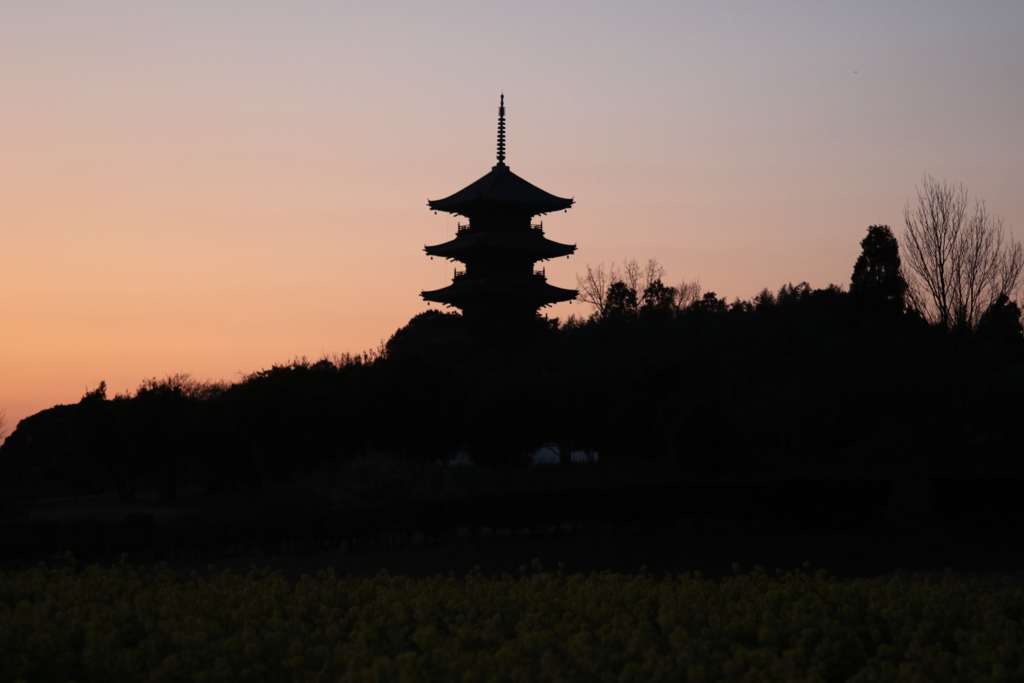 夕焼け