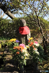 LWQP6972