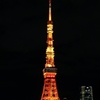 冬、夜の東京タワー