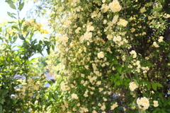 A95755F4-6FFB-430B-BA46-24C695445B62