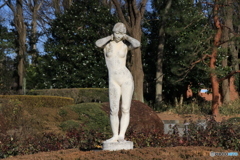 IMG_0626