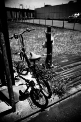 R0030447bwSLK