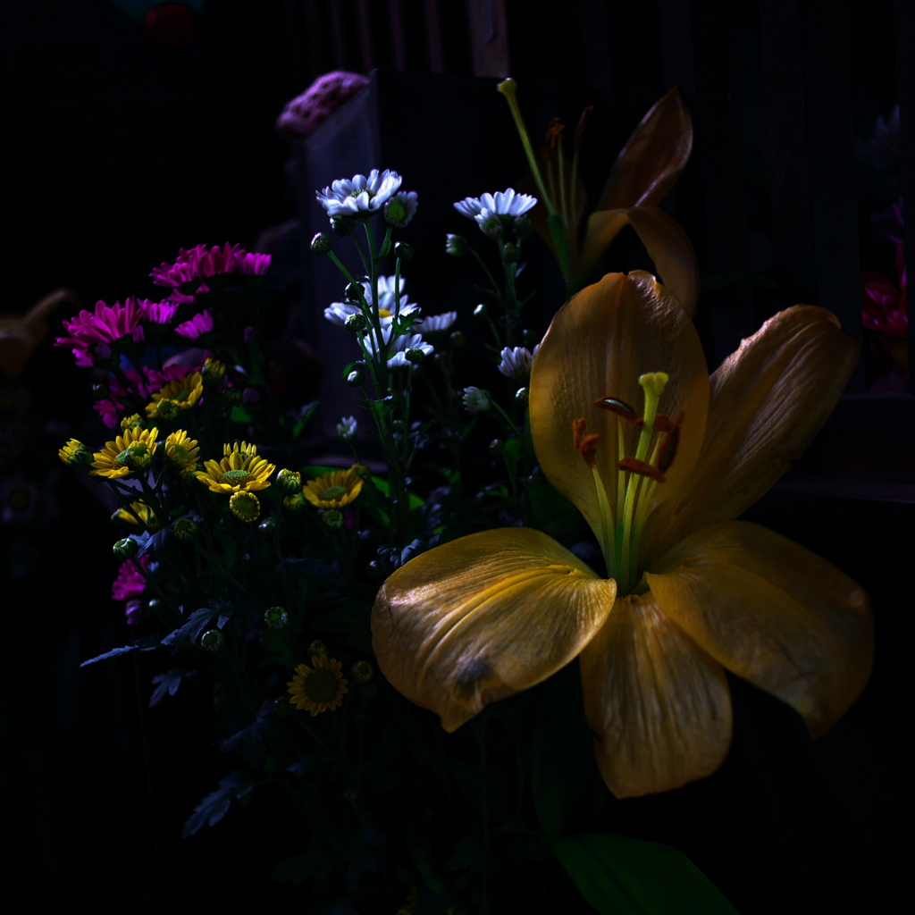 花は花に非ず