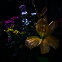 花は花に非ず