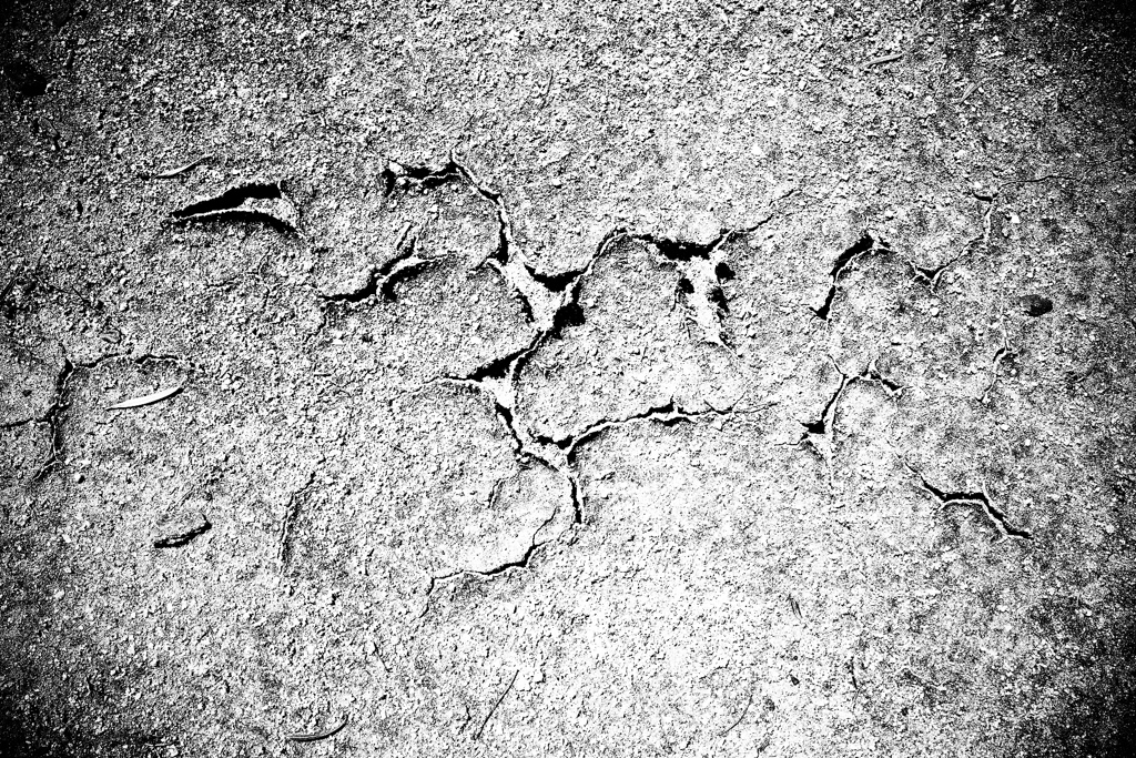 R0030217-2bwSLK