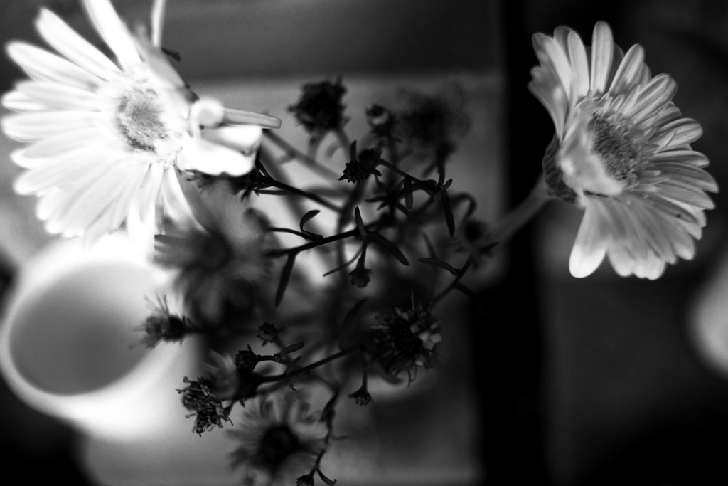 DSC04225-2bwSLK