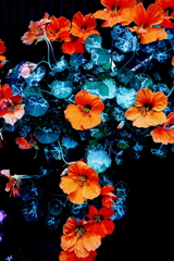 R0011916JPGSLK