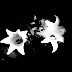 DSC02969bwSLK