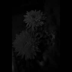 名称未設定 1