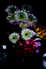 DSC00849-3clrSLK