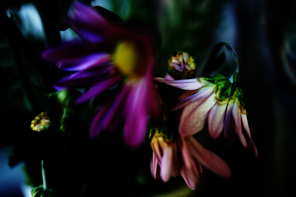 DSC02685clrSLK