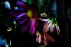 DSC02685clrSLK