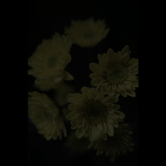 名称未設定 1