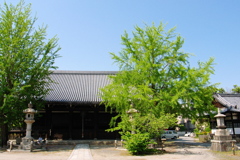 RIMG0131JPGSLK