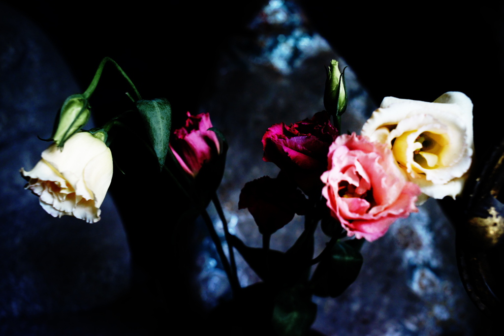 DSC04085clrSLK