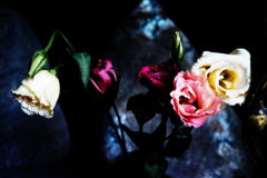 DSC04085clrSLK