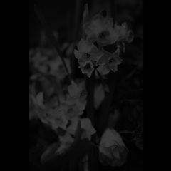 EYhy328UYAIU-c5