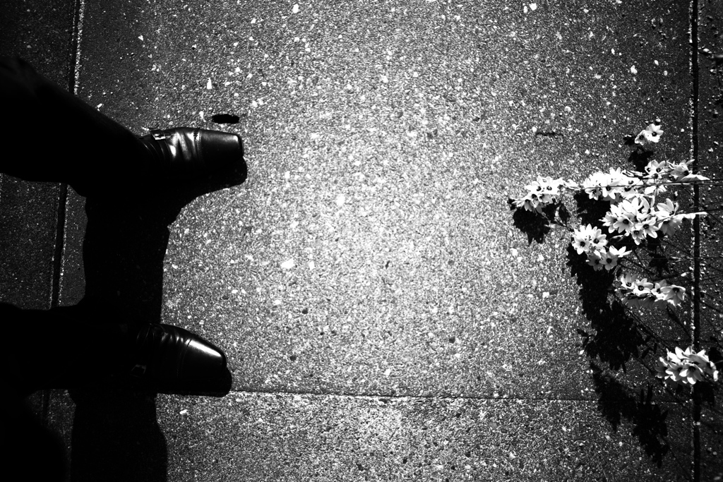 DSC09884bwSLK