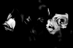 DSC04084bwSLK