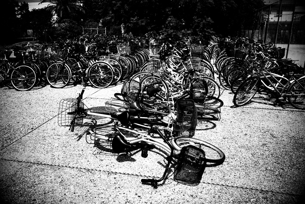 R0030592-2bwSKJ