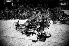 R0030592-2bwSKJ