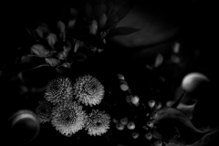 DSC04023bwSLK